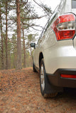 Mud Flaps / Gravel Guards - Subaru Forester